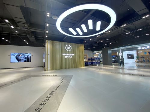 威马汽车失速 上海近半门店关闭背后的汽车销售困局